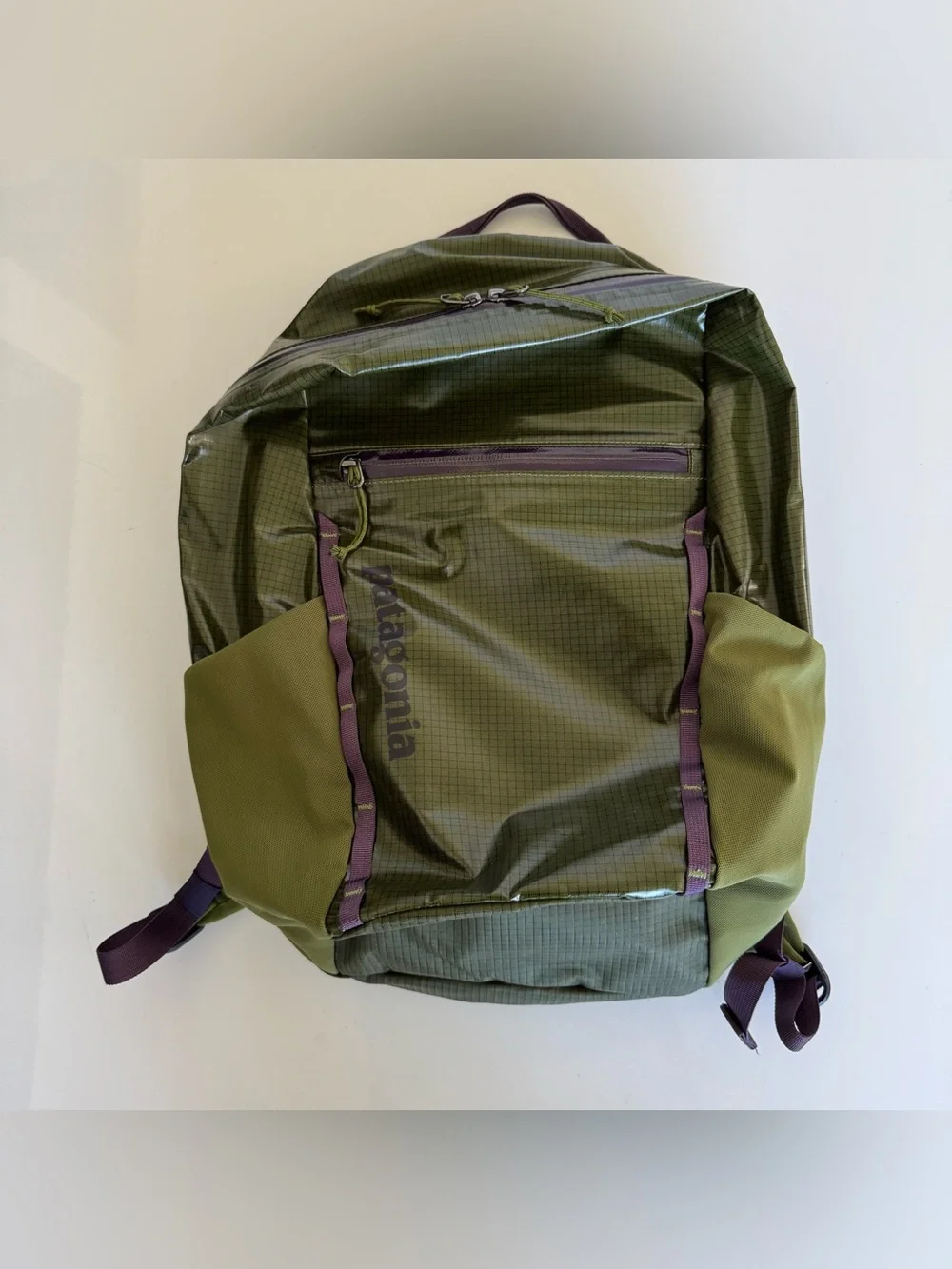 Patagonia Black Hole Pack 26L Backpack Bag Lightweight 49050 SPTG Green Purple